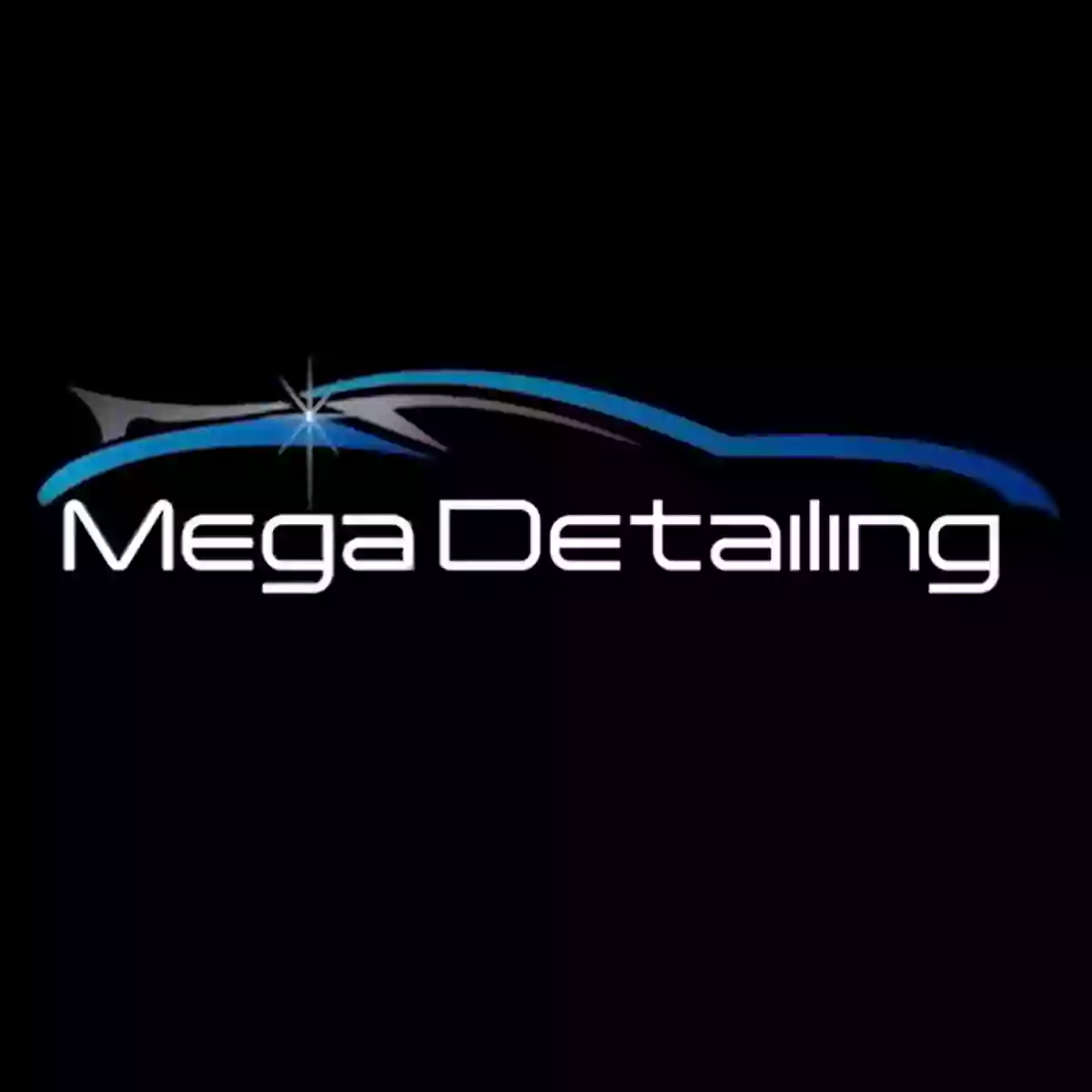 Mega Detailing