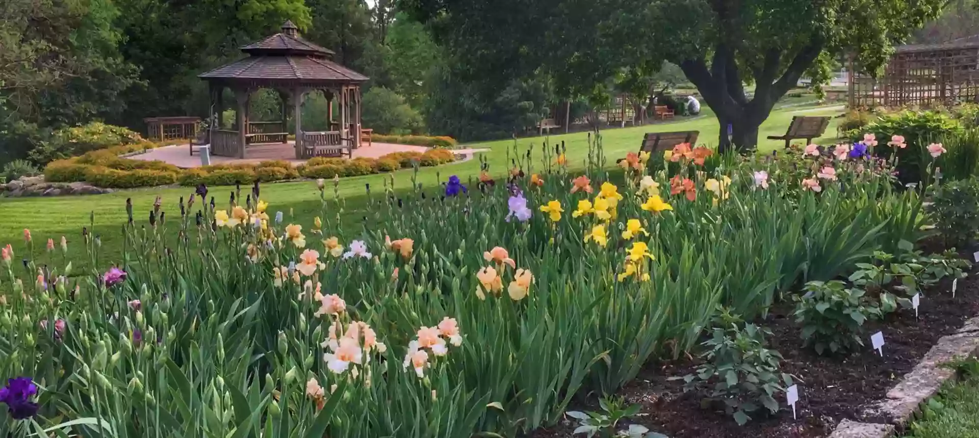 Dubuque Arboretum & Botanical Gardens