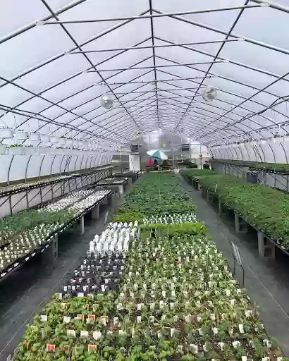 Jim's Greenhouse