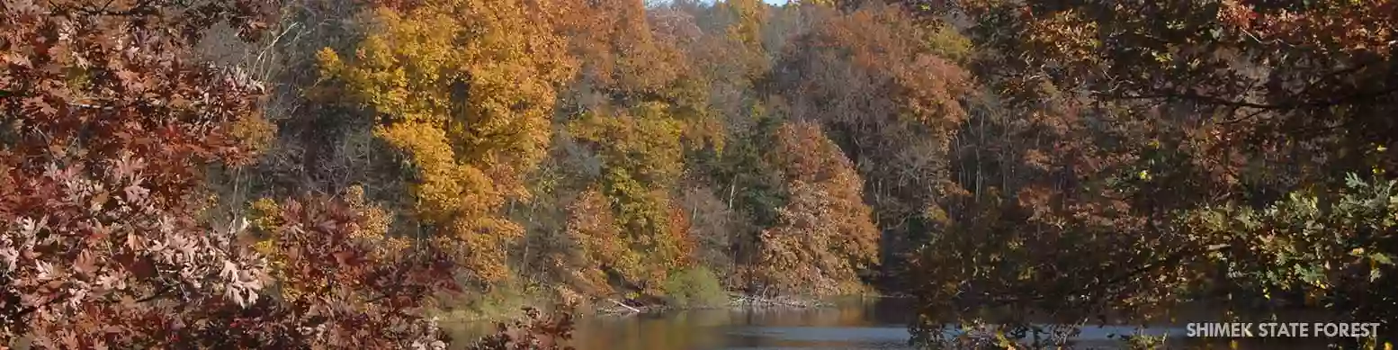 Shimek State Forest - Lick Creek Unit