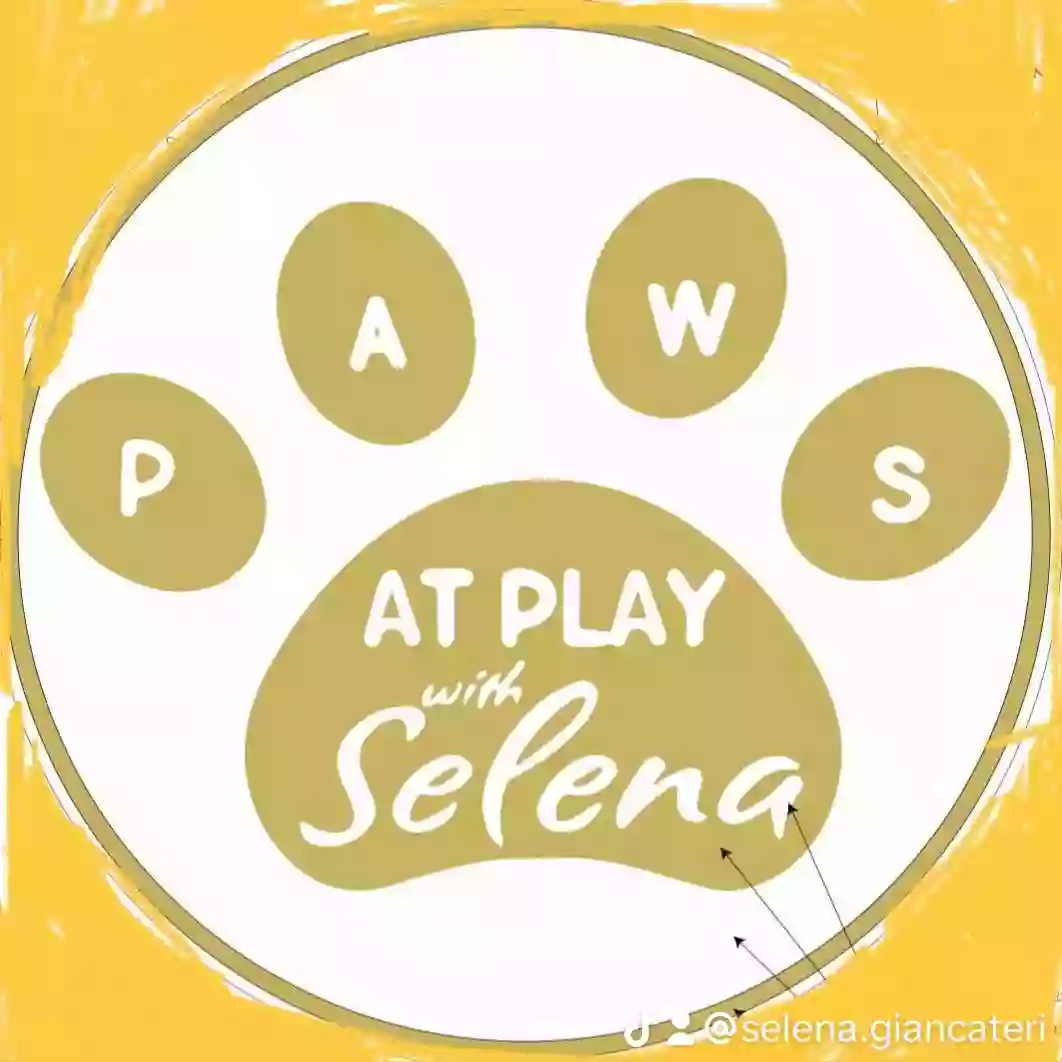 Paws at Play with Selena