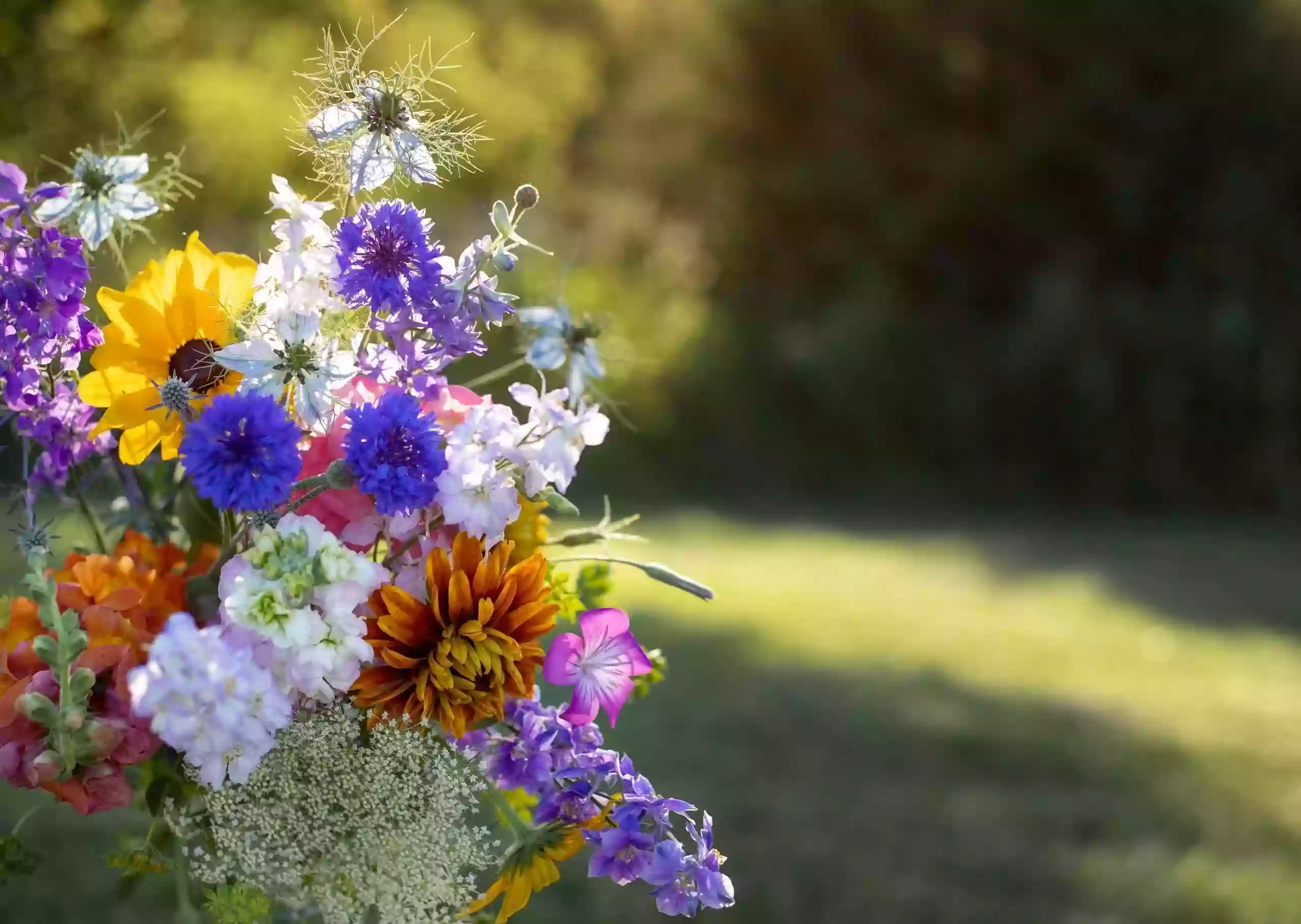 Muddy Boots Flower Farm