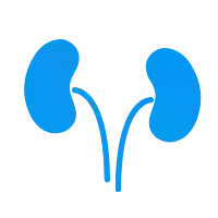 Southeastern Renal Dialysis, L.C