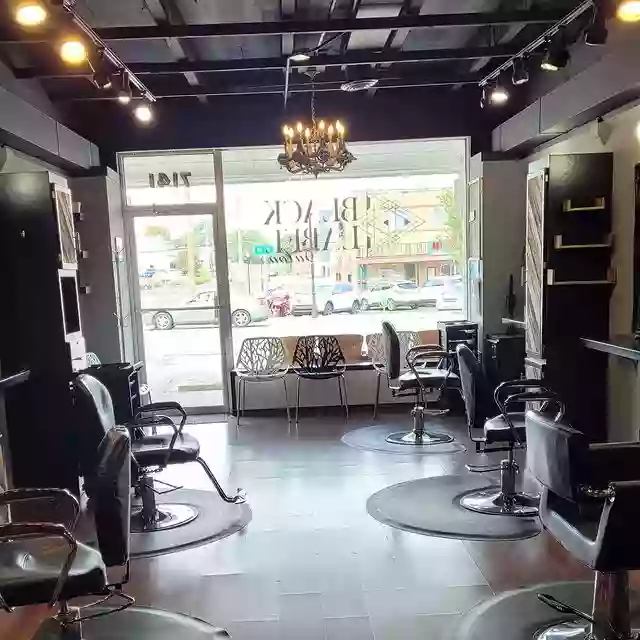 Braidilocks Salon