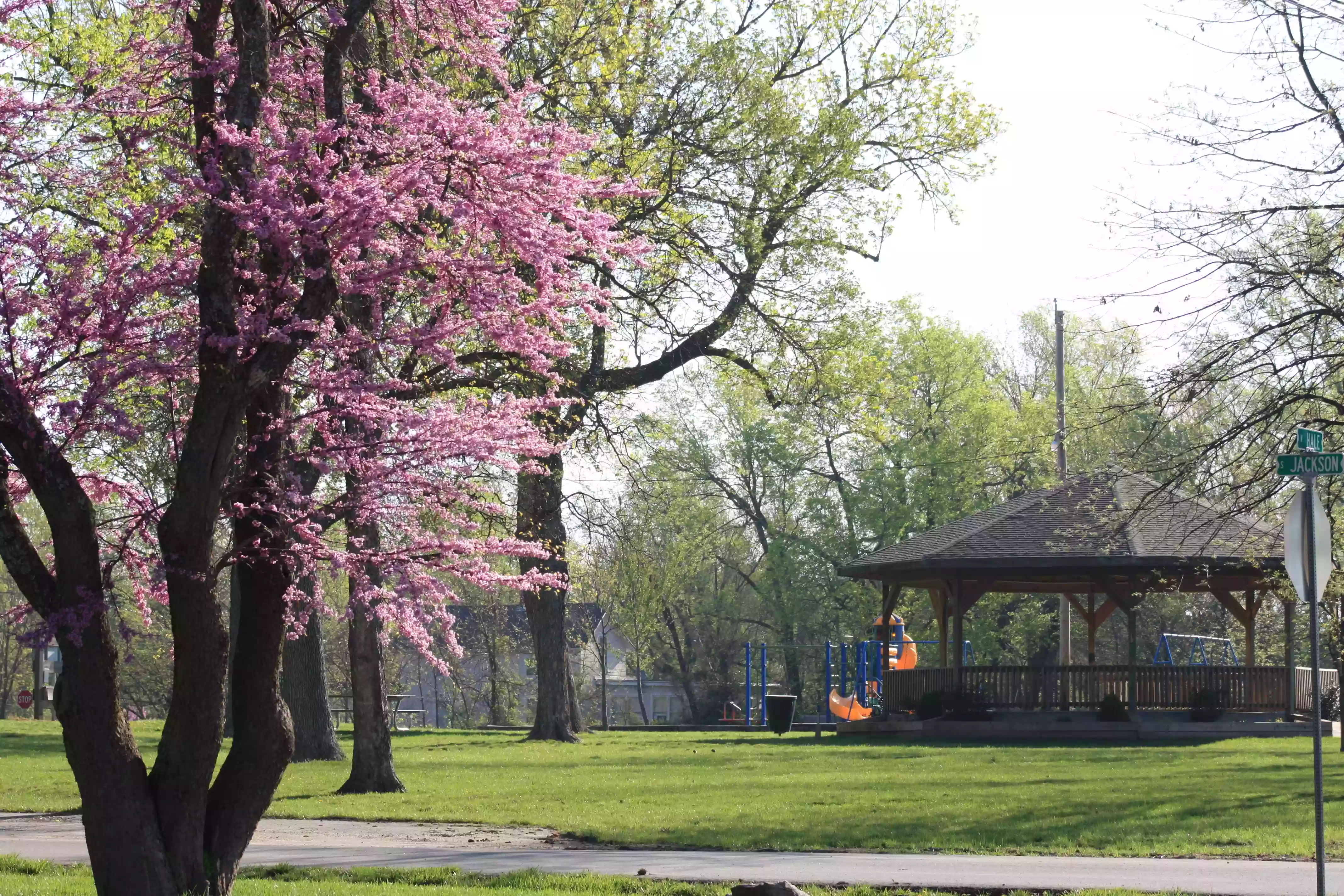 Spring Hill City Park