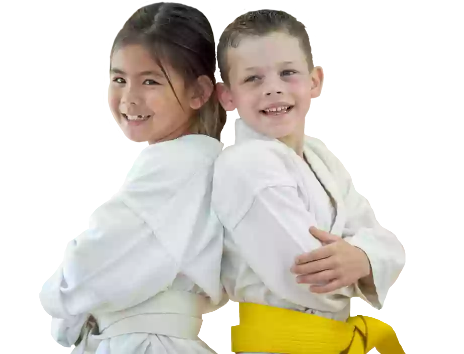 Martial Arts Institute North