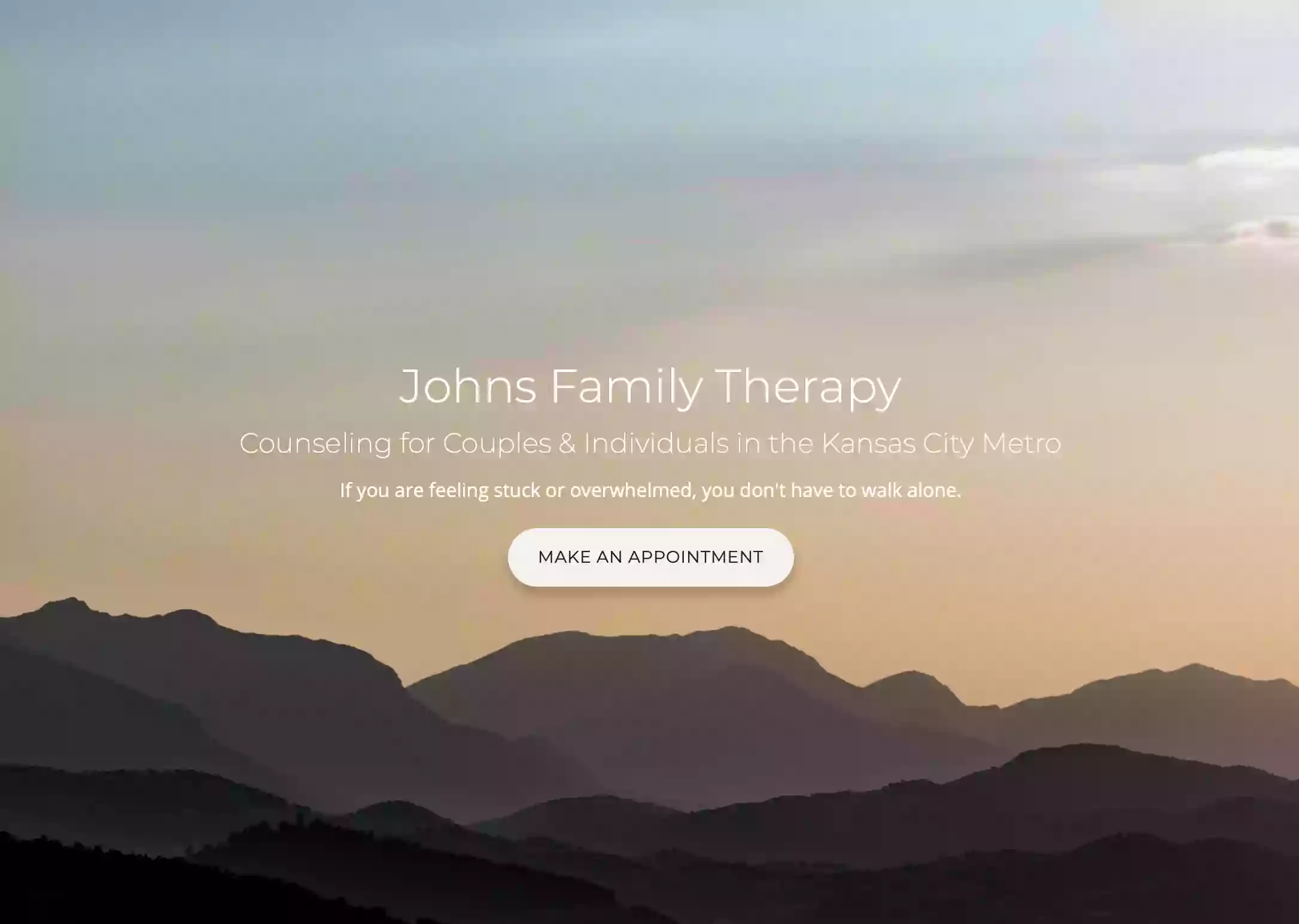 Johns Family Therapy