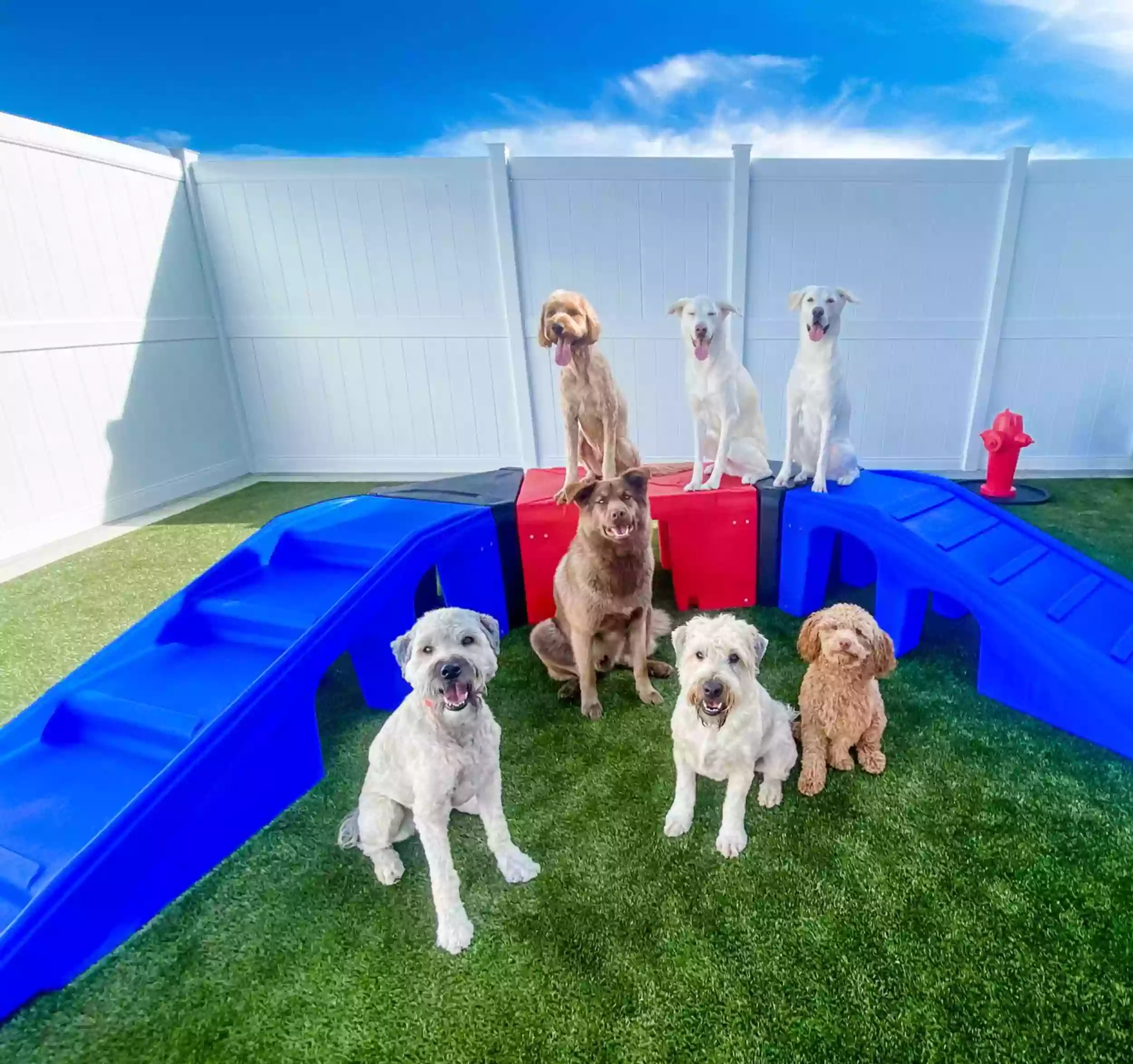 Woof's Play & Stay - South Overland Park