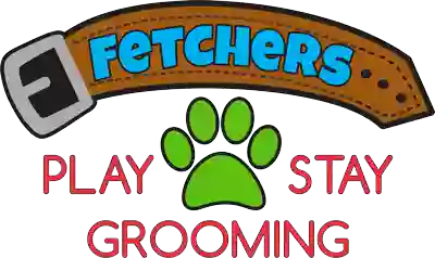 Fetchers Play & Stay