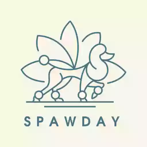 Spaw Day Pet Salon