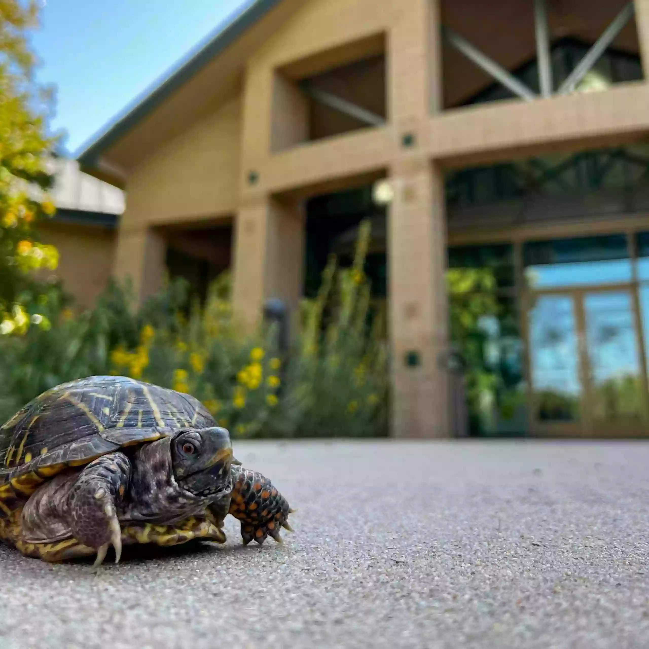 Great Plains Nature Center