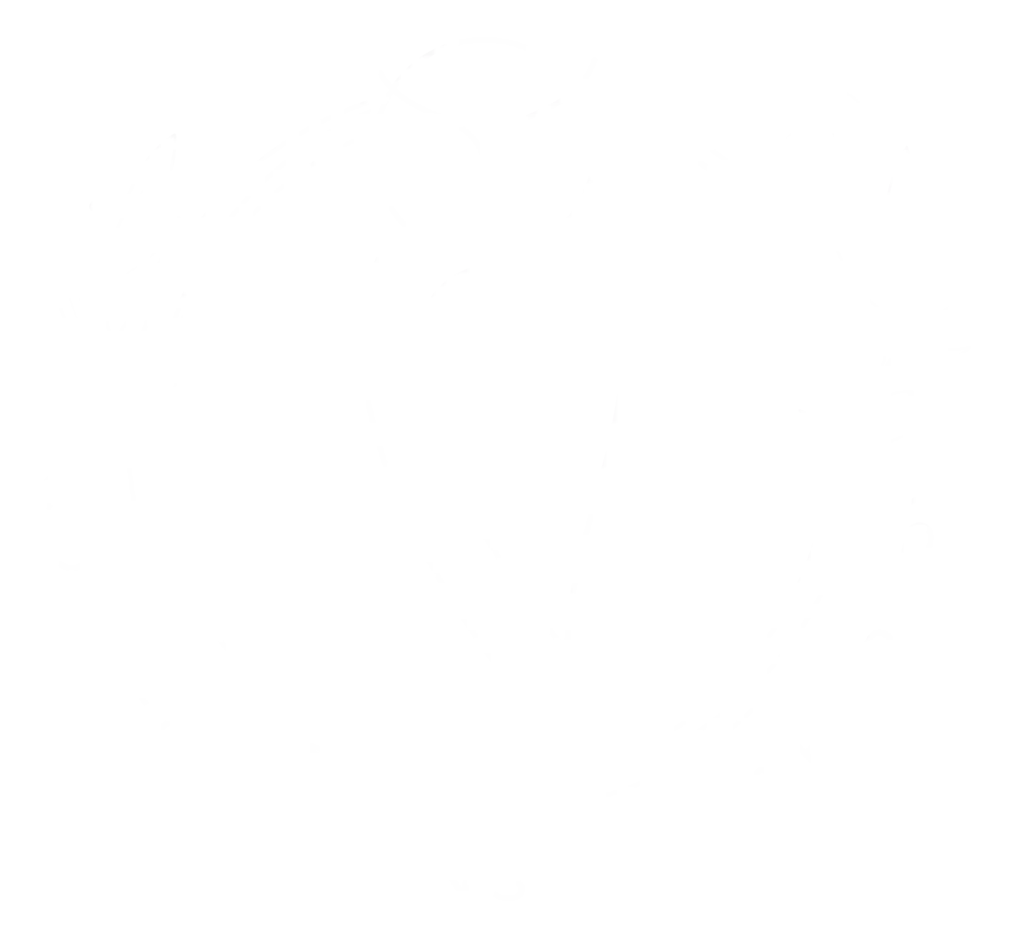 Collective Insight Therapy