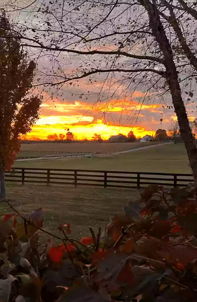 Rood & Riddle Equine Hospital