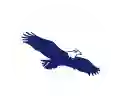 Eagle Finance