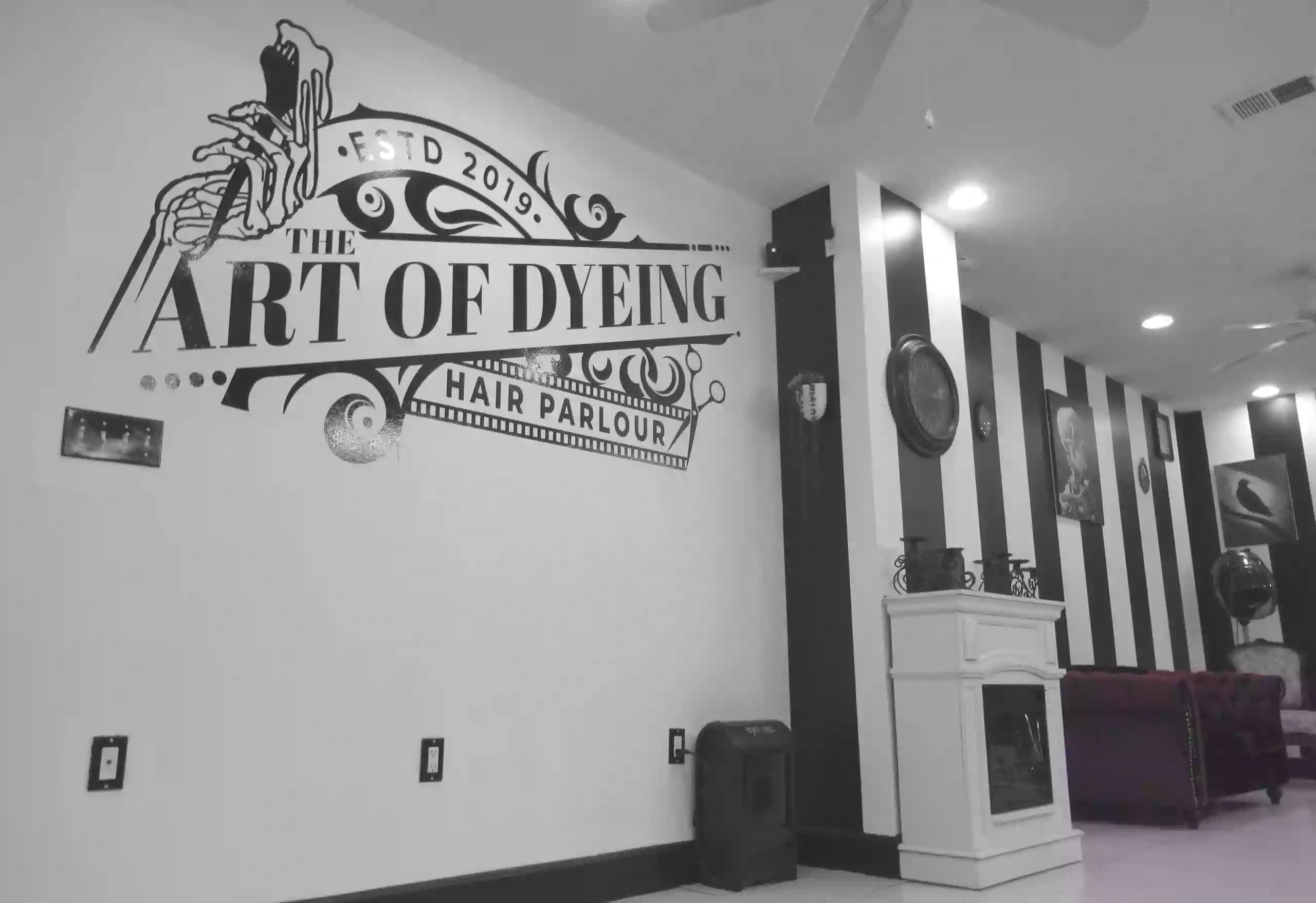The Art of Dyeing Hair Parlour