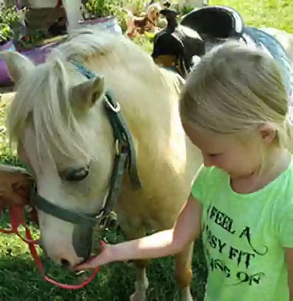 Unicorns & Lollipops Pony Rides