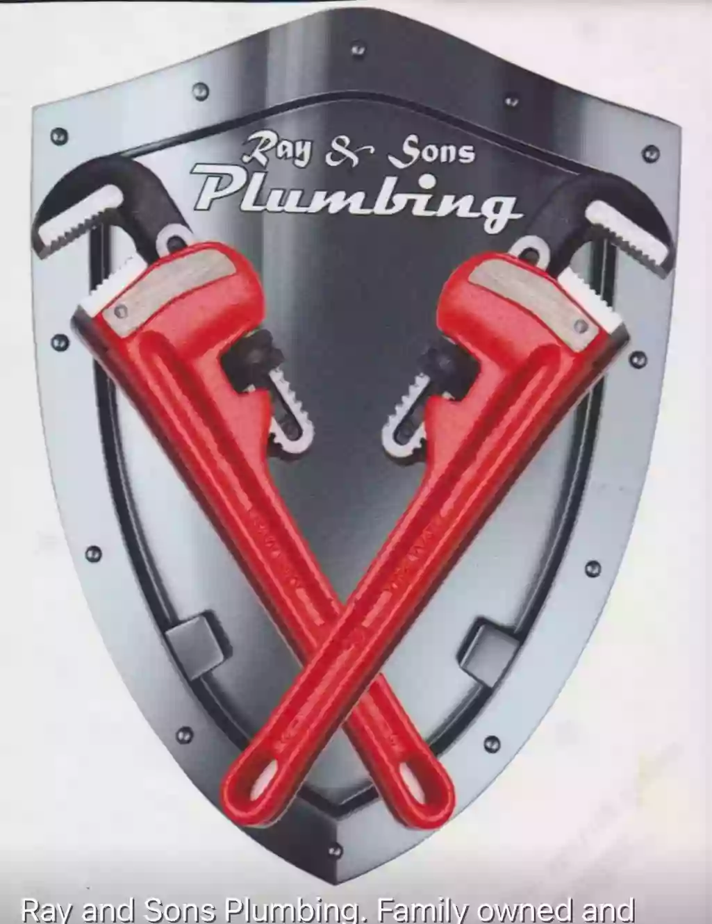 Ray and Sons Plumbing