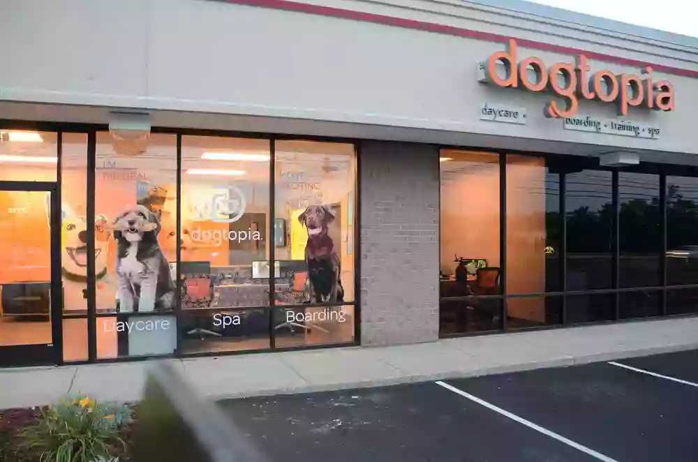 Dogtopia of Louisville-Hurstbourne