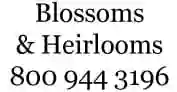 Blossoms and Heirlooms Florist