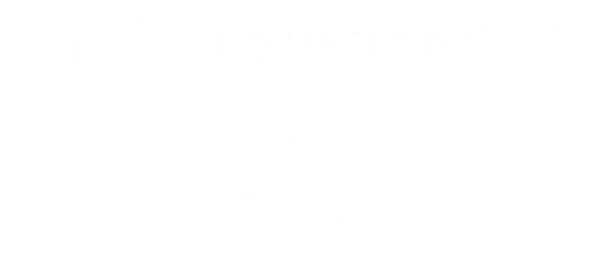 Mayfield Broadway Flowers & Gifts