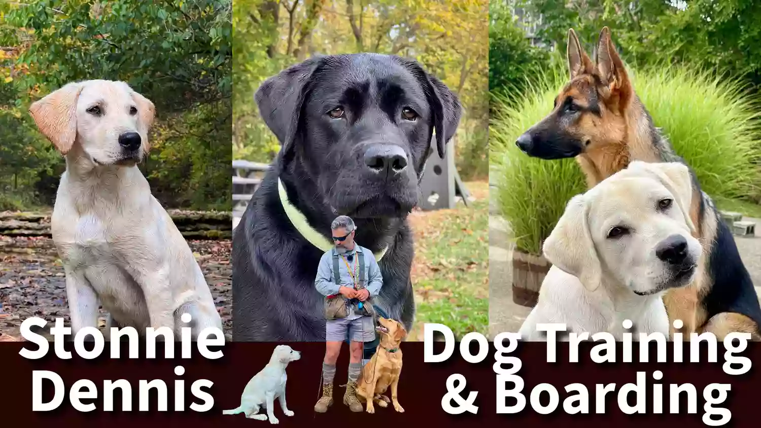 Stonnie Dennis Dog Training & Boarding