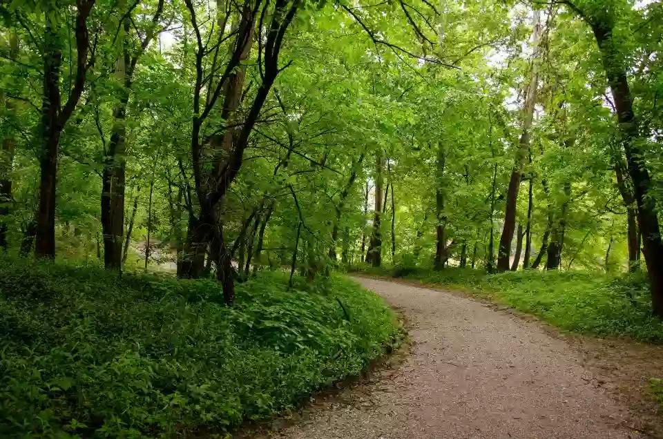 Licking River Greenway Trailhead