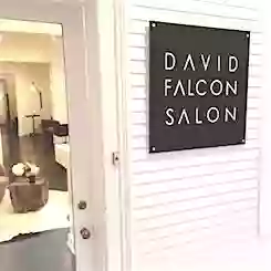 David Falcon Salon