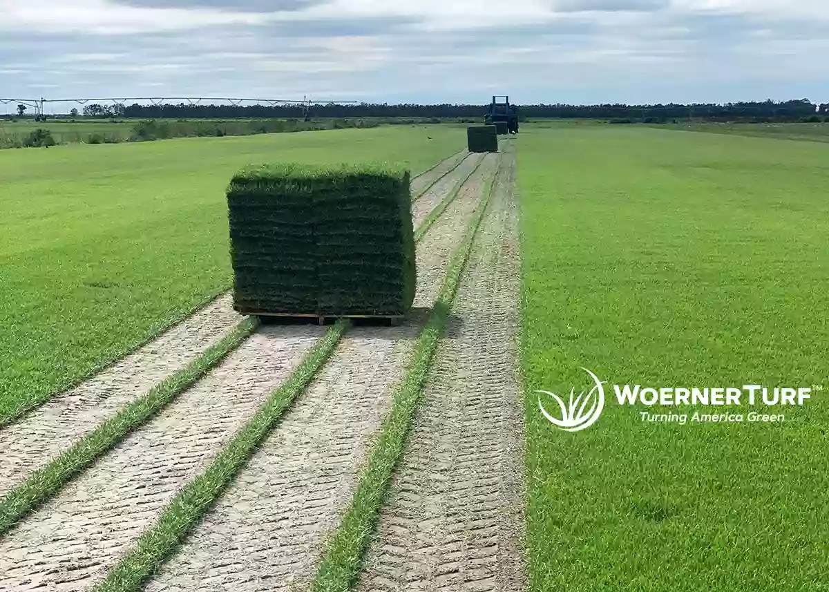 Woerner Turf & Landscape Supply - Baton Rouge