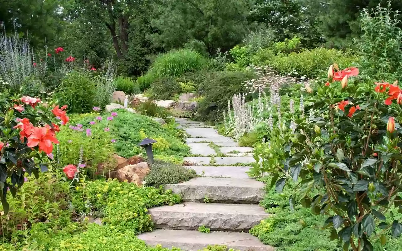 Garden Path Medicinals