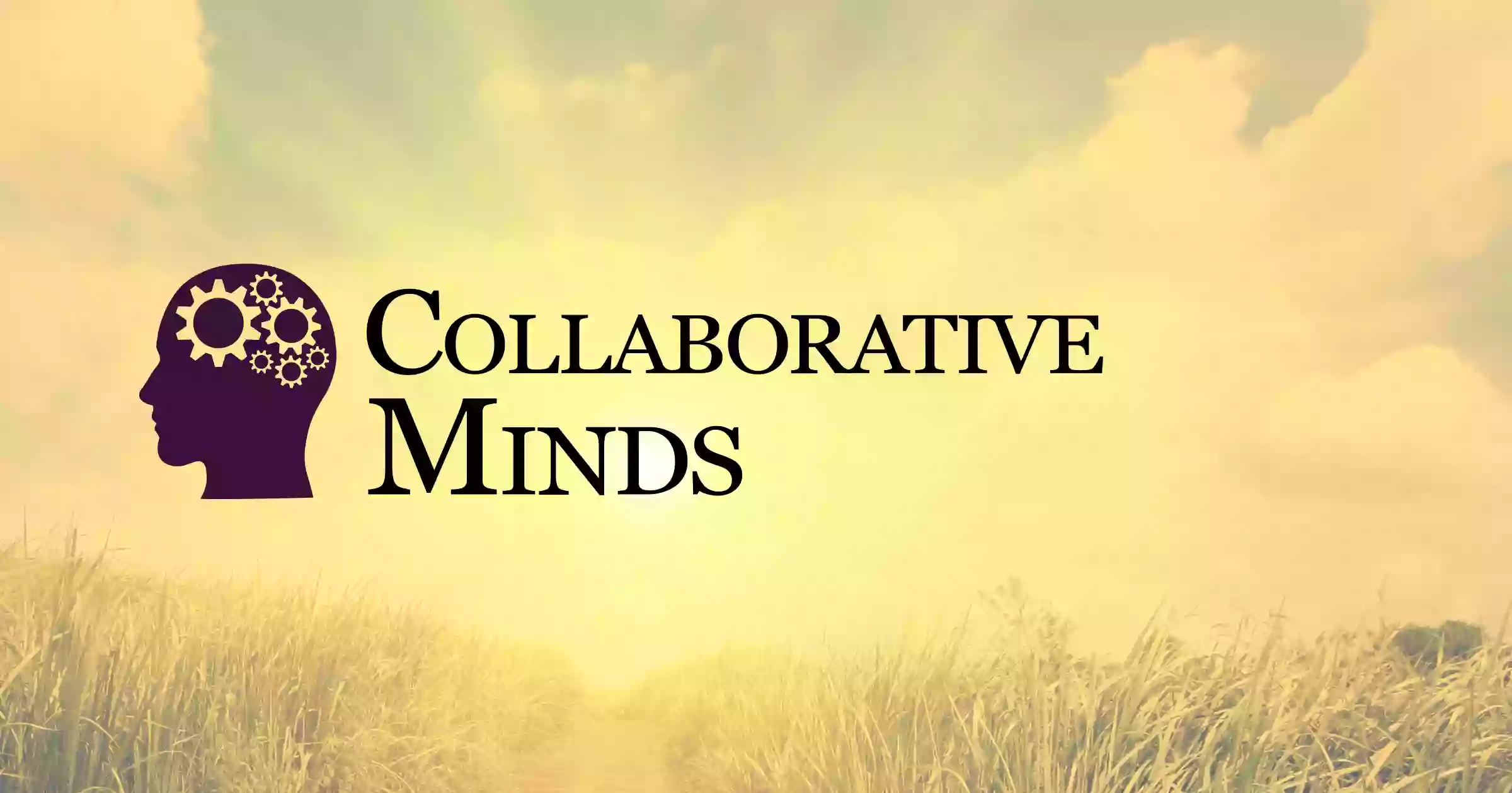 Collaborative Minds, LLC