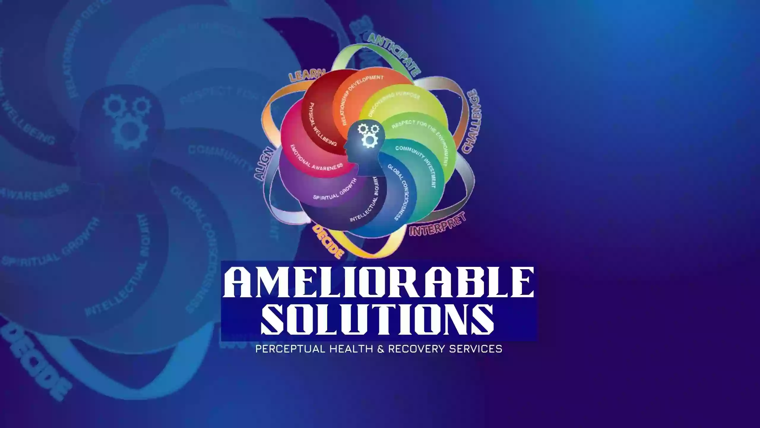 Ameliorable Solutions Inc