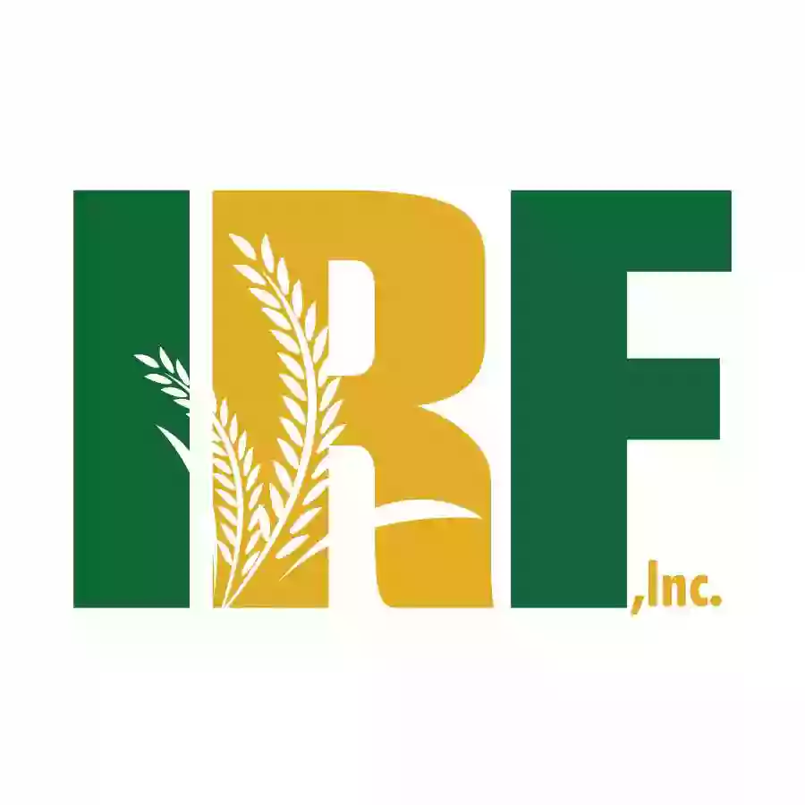 International Rice Festival