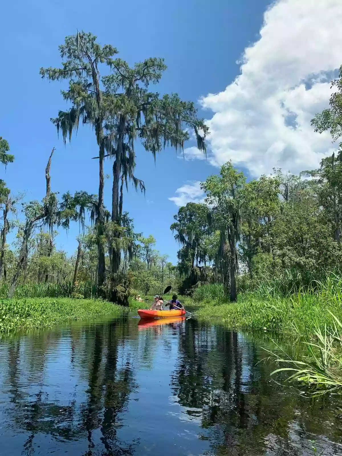 Hidden Adventure Swamp & Plantation Tours