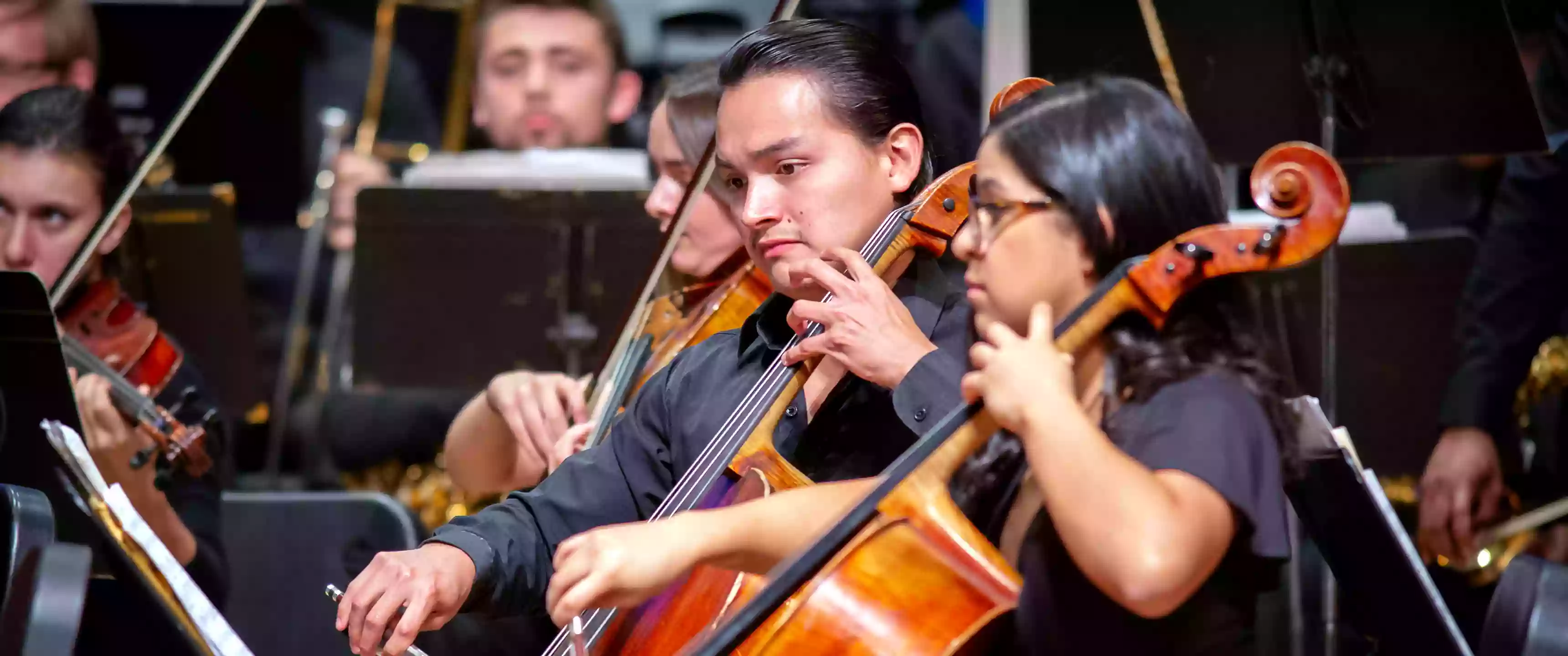 LSU School of Music