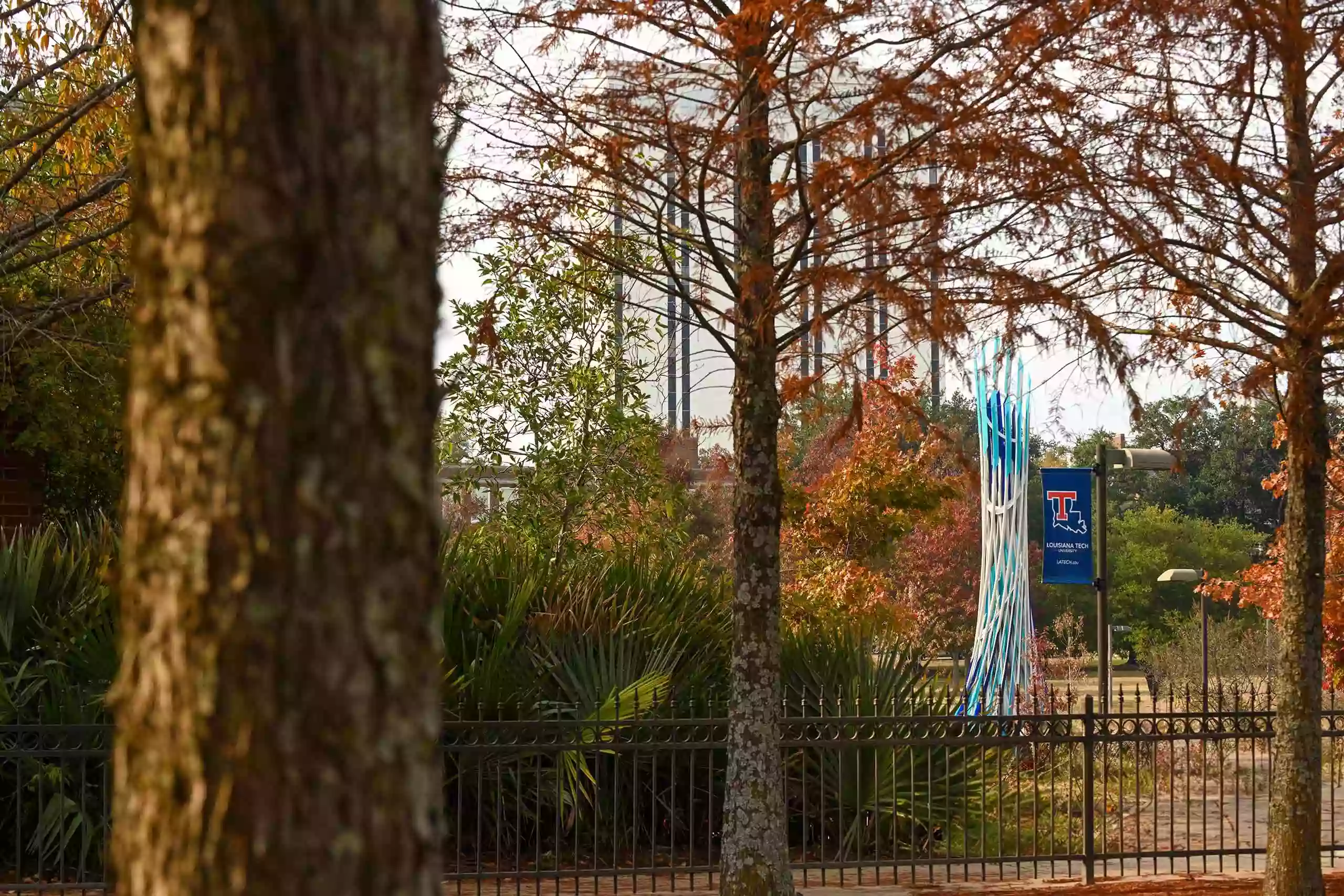 Louisiana Tech University