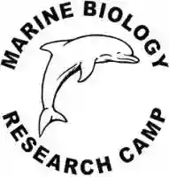 Marine Biology Research Camp