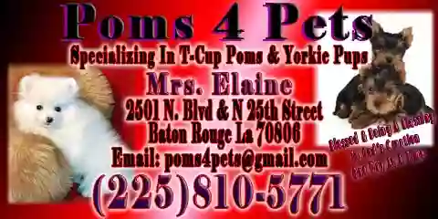 Poms 4 Pets LLC