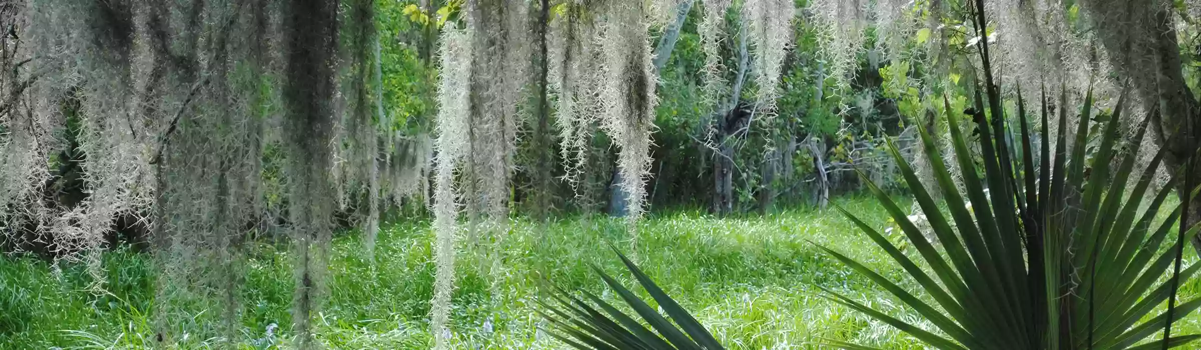 Jean Lafitte National Historical Park and Preserve