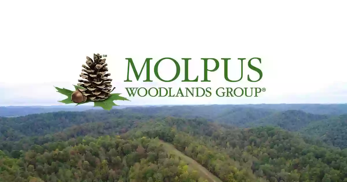 The Molpus Woodlands Group, LLC