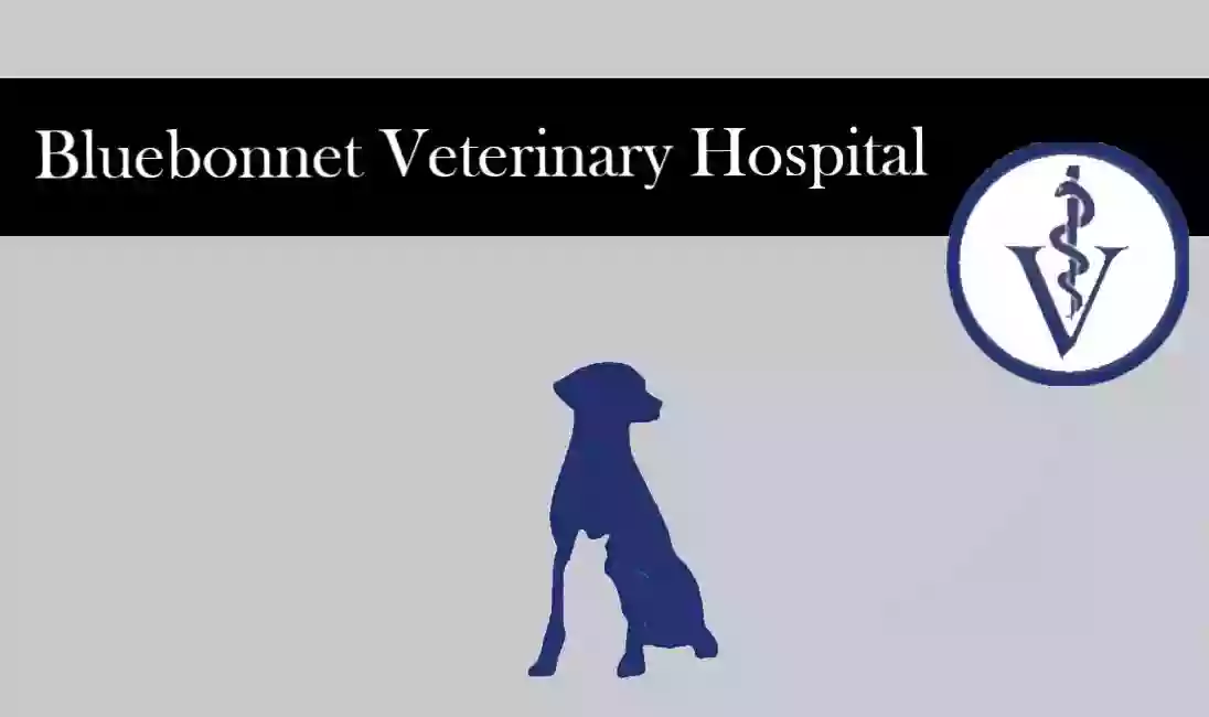 Bluebonnet Veterinary Hospital