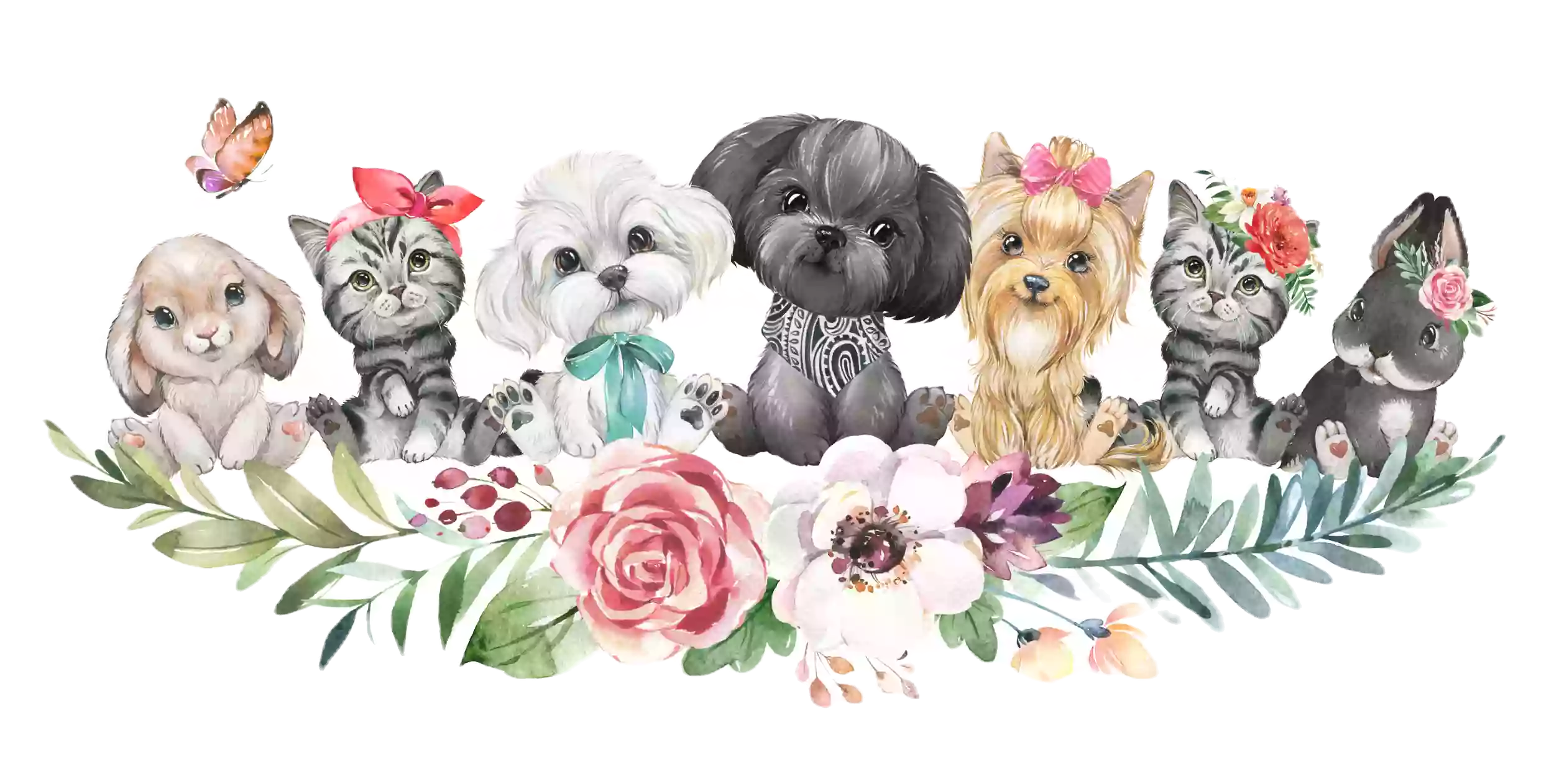 Picture Pawfect Dog Grooming/Boarding LLC