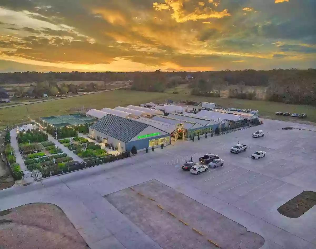 Louisiana Nursery