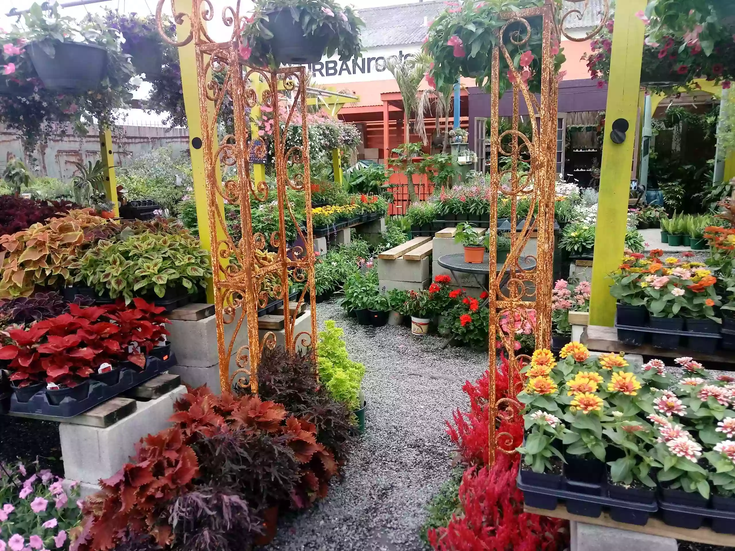 Urban Roots Garden Center