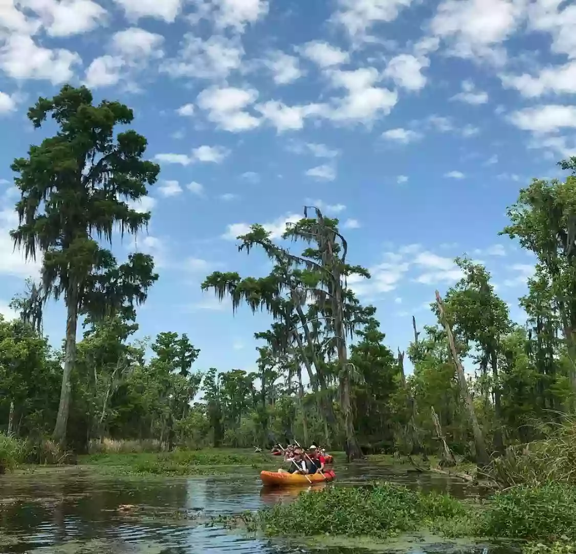 Honey Island Swamp Kayak Tours - Guided Bayou Tours