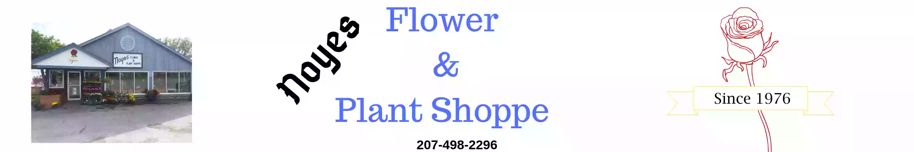 Noyes Flower & Plant Shoppe