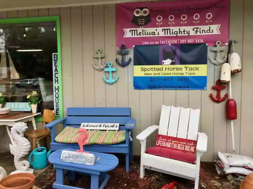 Melissa’s Mighty Finds Thrift & Re-Purpose & Antique Store