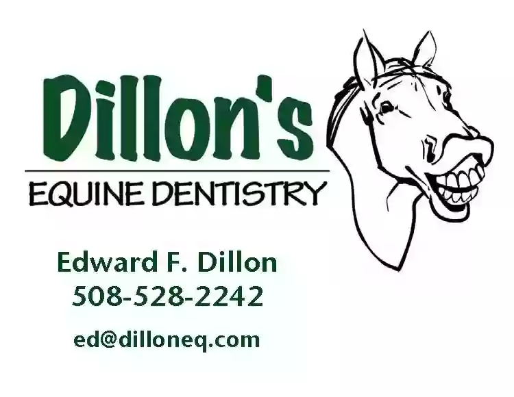 Dillon's Equine Dentistry