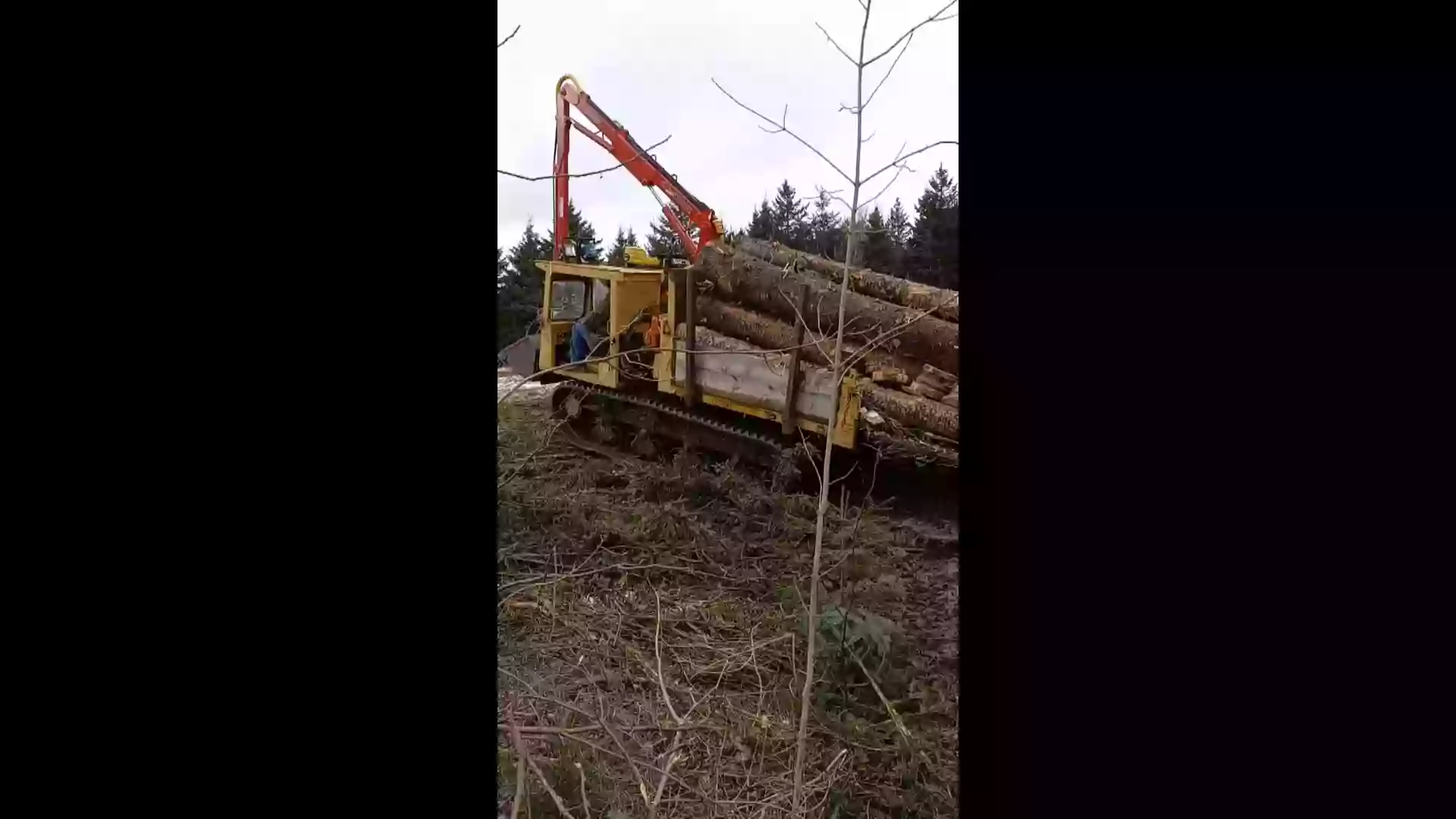 Big T Lumber