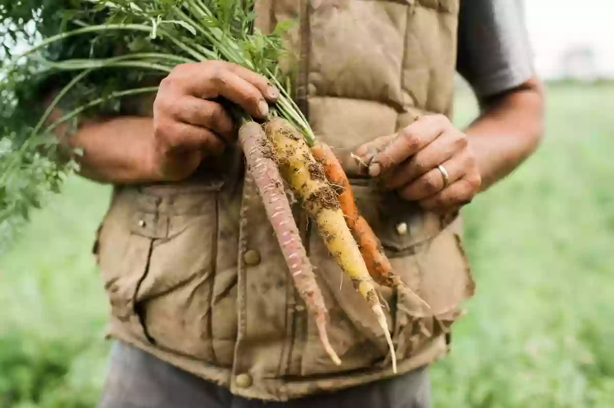 Six River Farm Stand