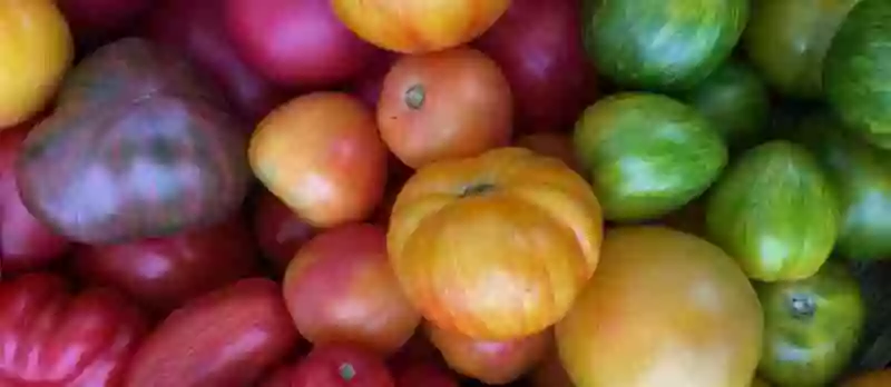 Brunswick-Topsham Land Trust Farmers' Market